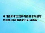 今日更新水壶烧开有白色水垢是怎么回事,水壶有水垢还可以喝吗