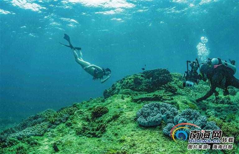 打卡海南潜水胜地：潜到海底，做一条自在的鱼