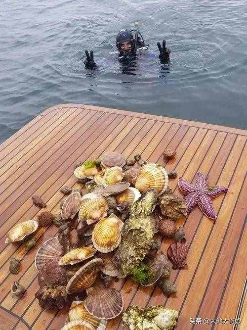 “海参崴”现状，带你看看真实的海参崴