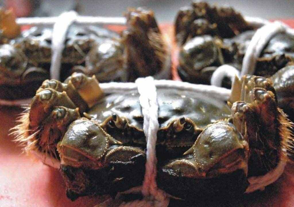 大闸蟹吃不完怎么保存?田老头大闸蟹