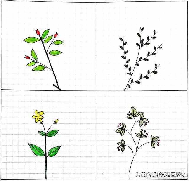 小树简笔画,简单易学