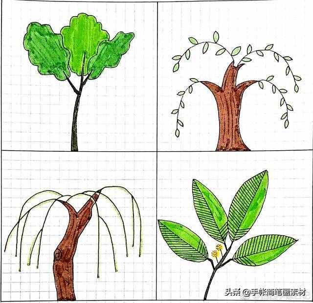 小树简笔画,简单易学
