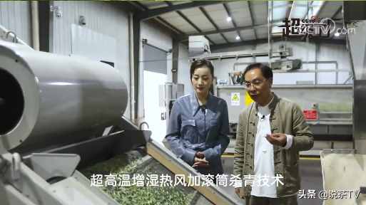 春茶季，大品牌茶企都怎么做推广