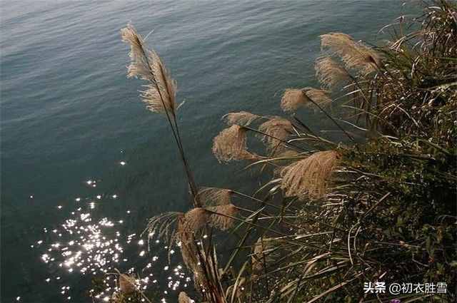 中秋去哪里赏月：李白说南湖秋水夜无烟