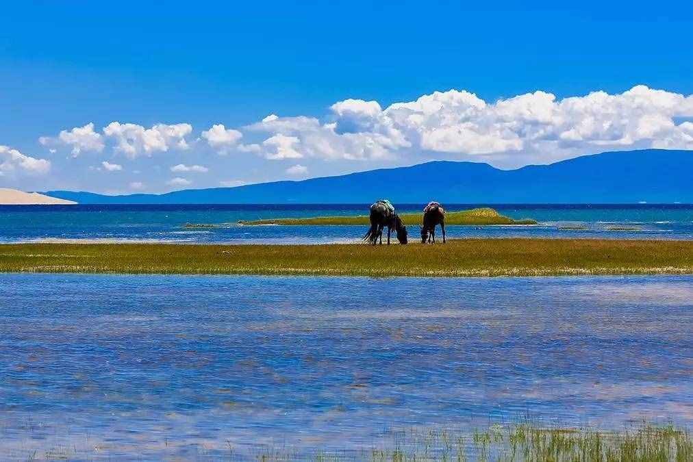 自驾青海湖环湖公路详细攻略，大美青海，最美青海湖此生必驾！