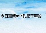 今日更新mic孔是干嘛的