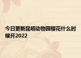 今日更新昆明动物园樱花什么时候开2022