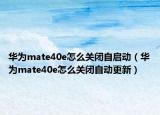 华为mate40e怎么关闭自启动（华为mate40e怎么关闭自动更新）
