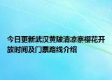 今日更新武汉黄陂清凉寨樱花开放时间及门票路线介绍