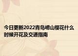 今日更新2022青岛崂山樱花什么时候开花及交通指南