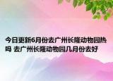 今日更新6月份去广州长隆动物园热吗 去广州长隆动物园几月份去好