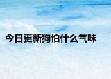 今日更新狗怕什么气味