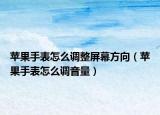 苹果手表怎么调整屏幕方向（苹果手表怎么调音量）