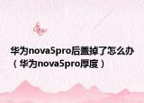 华为nova5pro后盖掉了怎么办（华为nova5pro厚度）