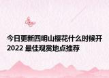 今日更新四明山樱花什么时候开2022 最佳观赏地点推荐