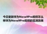 今日更新华为Nova9Pro拍照怎么样华为Nova9Pro拍照的实测效果
