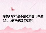 苹果13pro是不是双声道（苹果13pro是不是双卡双待）