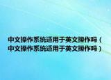 中文操作系统适用于英文操作吗（中文操作系统适用于英文操作吗）