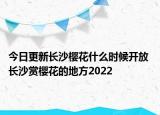 今日更新长沙樱花什么时候开放 长沙赏樱花的地方2022