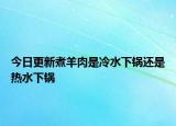 今日更新煮羊肉是冷水下锅还是热水下锅