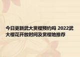 今日更新武大赏樱预约吗 2022武大樱花开放时间及赏樱地推荐
