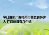 今日更新广西梧州市藤县有多少人 广西藤县有几个镇