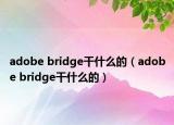 adobe bridge干什么的（adobe bridge干什么的）