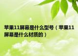 苹果11屏幕是什么型号（苹果11屏幕是什么材质的）