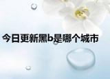 今日更新黑b是哪个城市
