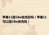 苹果11用18w快充好吗（苹果11可以用18w快充吗）