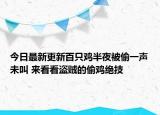 今日最新更新百只鸡半夜被偷一声未叫 来看看盗贼的偷鸡绝技