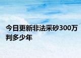 今日更新非法采砂300万判多少年