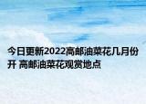 今日更新2022高邮油菜花几月份开 高邮油菜花观赏地点