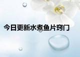 今日更新水煮鱼片窍门