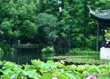 今日更新描写夏天的诗词（8首夏日田园诗）
