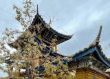 今日更新德庆住宿（重庆小两口环游中国）