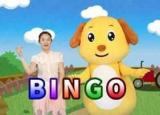 今日更新bingo是什么意（bingo是什么意思）