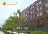 今日更新潍坊四中地址（高新金马公学）