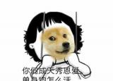 今日更新撒狗粮是什么意思（撒狗粮）