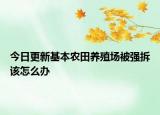 今日更新基本农田养殖场被强拆该怎么办