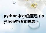 python中str的意思（python中str的意思）