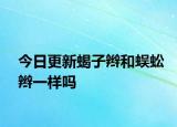 今日更新蝎子辫和蜈蚣辫一样吗