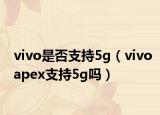 vivo是否支持5g（vivoapex支持5g吗）