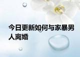 今日更新如何与家暴男人离婚