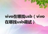 vivo在哪找usb（vivo在哪找usb调试）