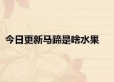 今日更新马蹄是啥水果