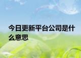 今日更新平台公司是什么意思