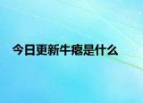 今日更新牛瘪是什么