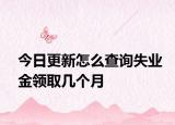 今日更新怎么查询失业金领取几个月