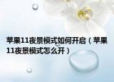苹果11夜景模式如何开启（苹果11夜景模式怎么开）
